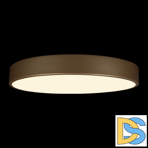 Потолочный светильник Loft IT Flims 10228/A