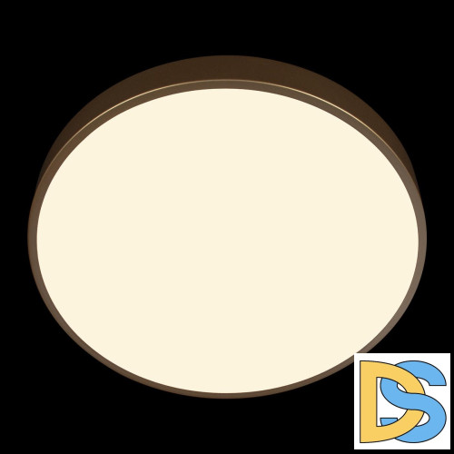 Потолочный светильник Loft IT Flims 10228/A