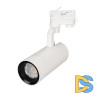 Трековый светодиодный светильник Arlight LGD-Gelios-4TR-R80-30W Day4000 031221