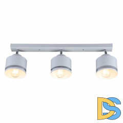 Спот IMEX SP.025-53-80