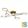 Потолочная люстра LED4U L200-6