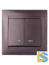 Выключатель двухклавишный с подсветкой Лама TDM Electric SQ1815-0505