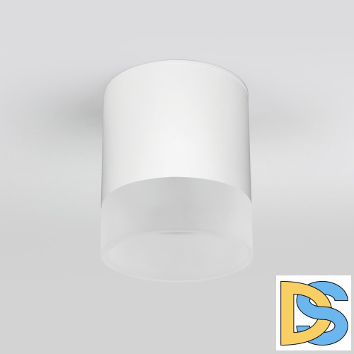 Уличный потолочный светильник Elektrostandard Light LED 4690389177958