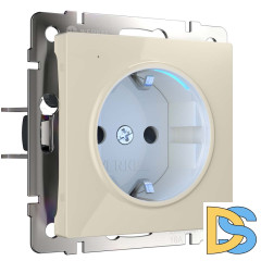 Розетка с заземлением с подветкой Werkel слоновая кость W1171403 4690389171673