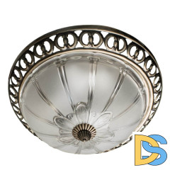 Потолочный светильник Arte Lamp 16 A1306PL-2AB