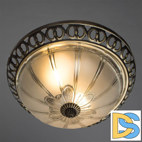 Потолочный светильник Arte Lamp 16 A1306PL-2AB