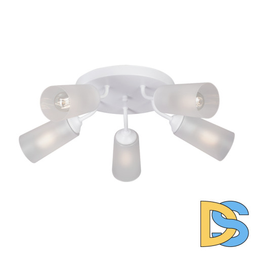 Потолочная люстра Vitaluce V3762-0/5PL