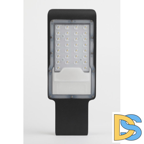 Уличный светильник Эра SPP-503-0-30K-080 Б0051837