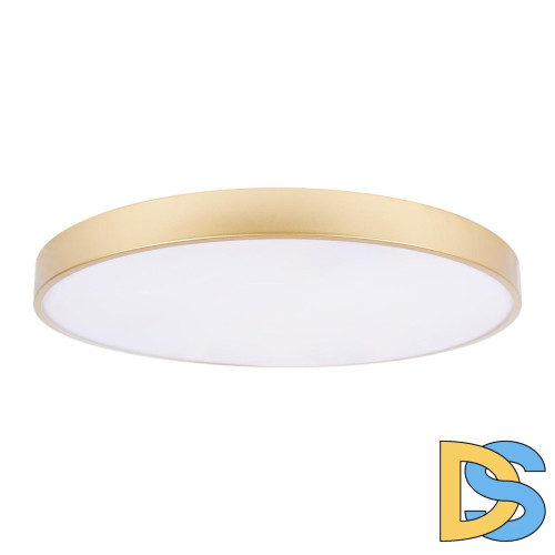 Потолочный светильник Loft IT Flims 10228/B