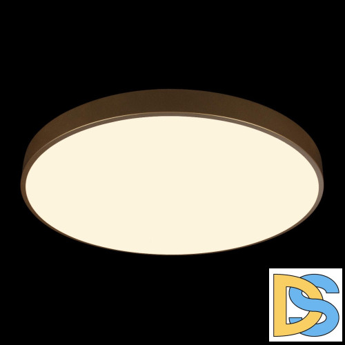 Потолочный светильник Loft IT Flims 10228/B