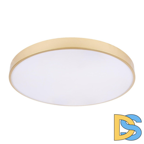 Потолочный светильник Loft IT Flims 10228/B