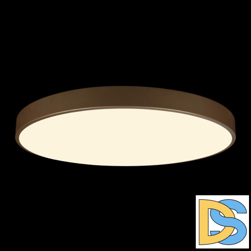 Потолочный светильник Loft IT Flims 10228/B