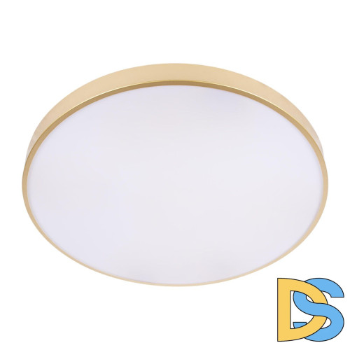 Потолочный светильник Loft IT Flims 10228/B