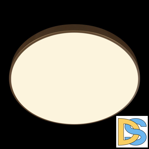 Потолочный светильник Loft IT Flims 10228/B