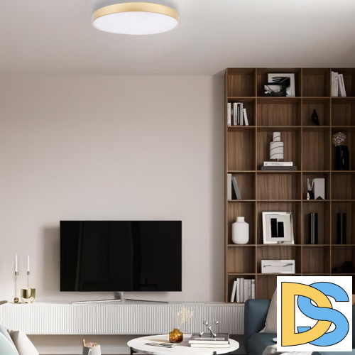 Потолочный светильник Loft IT Flims 10228/B