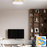 Потолочный светильник Loft IT Flims 10228/B
