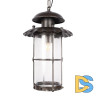 Уличный подвесной светильник Loft IT Palermo 100015P