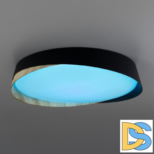 Потолочный светильник Citilux Bonny CL754351G