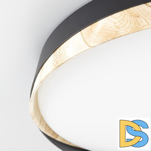 Потолочный светильник Citilux Bonny CL754351G