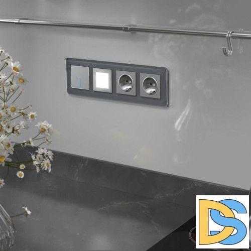 Рамка из стекла на 4 поста Werkel Elite графит 4690389180804 W0042440