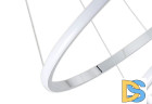 Подвесная люстра Zortes Ringolight ZRS.33321.120C