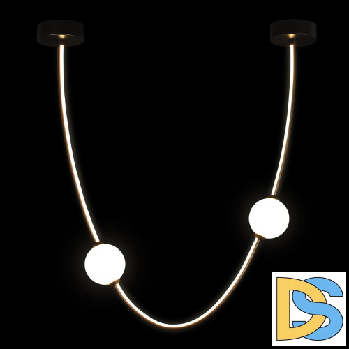 Подвесной светильник Loft IT Embrace 10242/600 Black