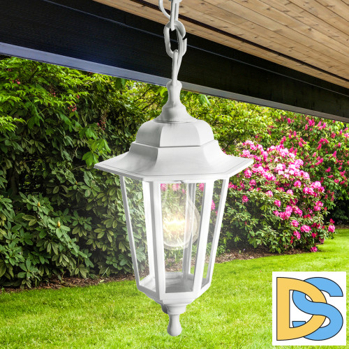 Уличный подвесной светильник ЭРА НСУ 06-60-001 белый Б0048110