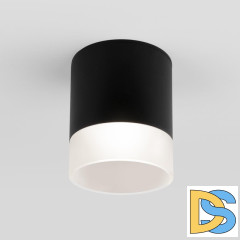 Уличный потолочный светильник Elektrostandard Light LED 4690389177941