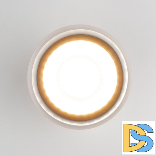 Уличный потолочный светильник Elektrostandard Light LED 4690389177941