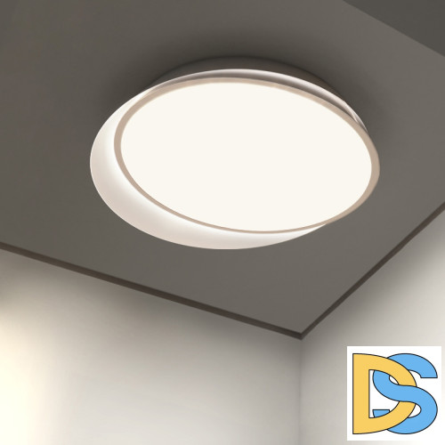 Потолочный светильник ImperiumLoft Shell 228948-26