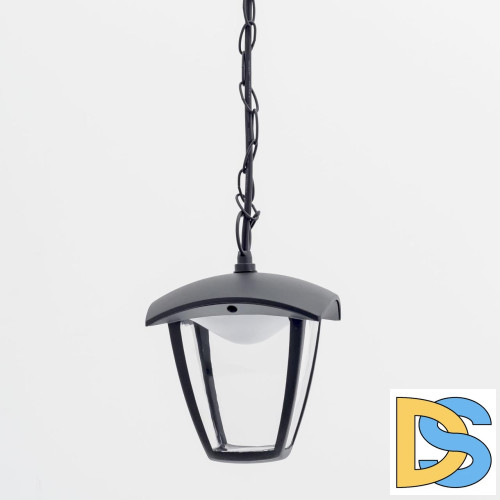 Уличный подвесной светодиодный светильник Citilux CLU04P