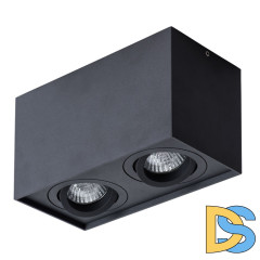 Потолочный светильник Arte Lamp Factor A5544PL-2BK