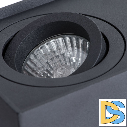 Потолочный светильник Arte Lamp Factor A5544PL-2BK