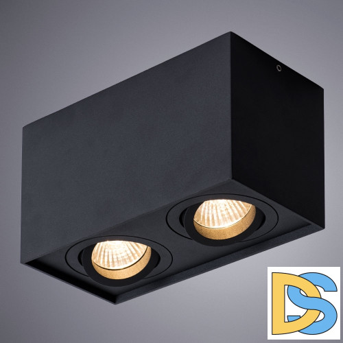 Потолочный светильник Arte Lamp Factor A5544PL-2BK