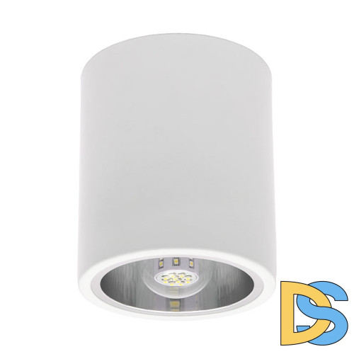 Накладной светильник Kanlux Nikor DLP-60-W 7210