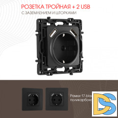 Розетка с заземлением, шторками + 2 USB Arte Milano 217.47-1.black