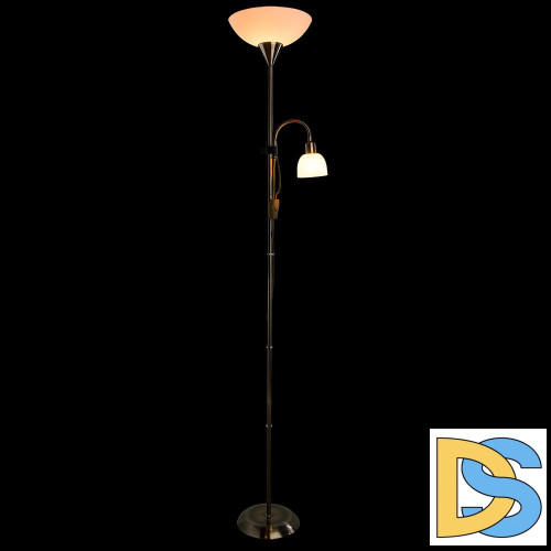 Торшер Arte Lamp Duetto A9569PN-2AB
