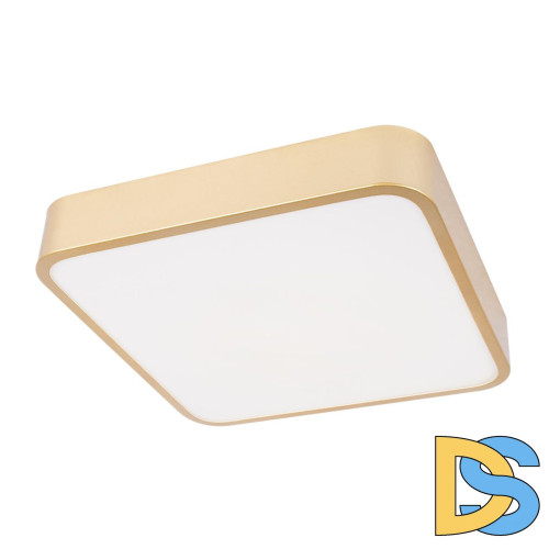 Потолочный светильник Loft IT Flims 10228/C