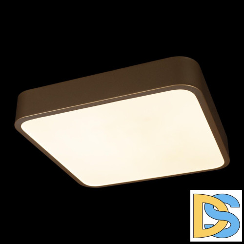 Потолочный светильник Loft IT Flims 10228/C