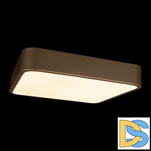 Потолочный светильник Loft IT Flims 10228/C