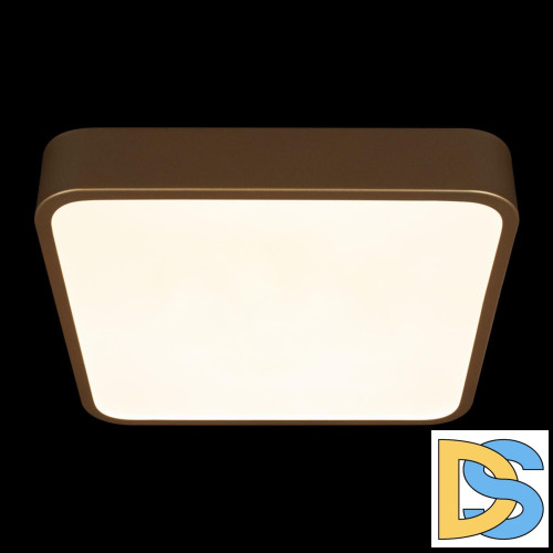 Потолочный светильник Loft IT Flims 10228/C