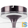 Потолочный светильник Lightstar Celesta 809200