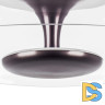 Потолочный светильник Lightstar Celesta 809200