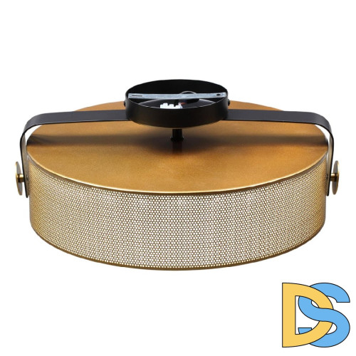 Потолочный светильник Lumion Drumy 6597/40L