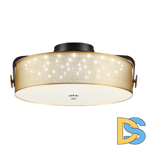 Потолочный светильник Lumion Drumy 6597/40L