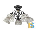 Потолочная люстра Abrasax Emilia MDK9365/5BBlack