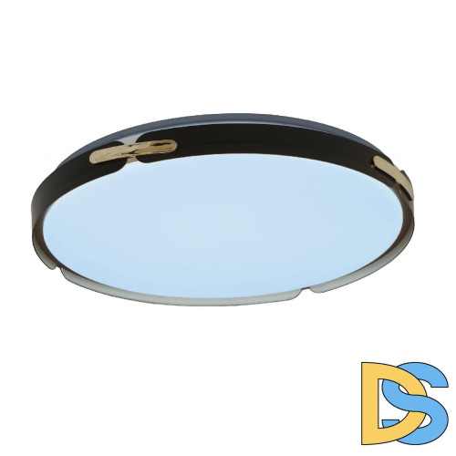 Потолочный светильник Lumina Deco Paneli LDC 8063-48W BK