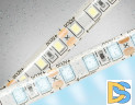 Светодиодная лента Ambrella Light LED Strip 12В 2835 9,6Вт/м 6500K 5м IP65 GS1203