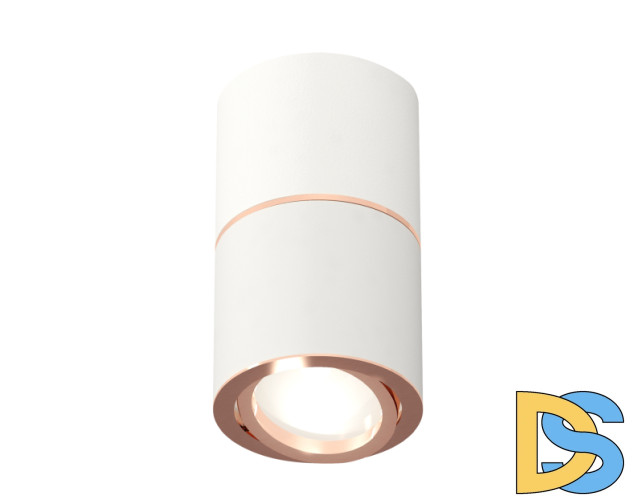 Потолочный светильник Ambrella Light Techno Spot XS7401220 (C7401, A2073, C7401, N7005)