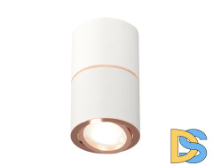 Потолочный светильник Ambrella Light Techno Spot XS7401220 (C7401, A2073, C7401, N7005)